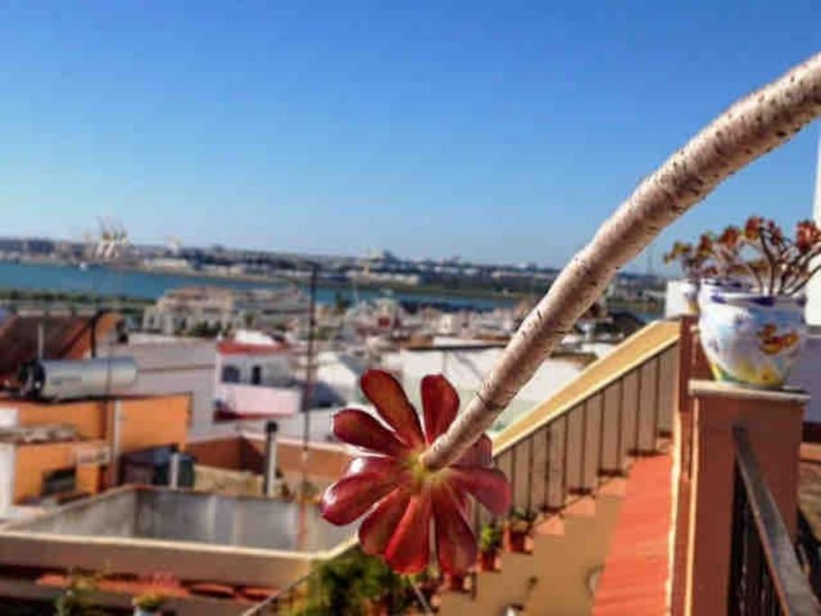 “Flor De Sal” Charming Traditional Andalusian House Aiamonte Exterior foto