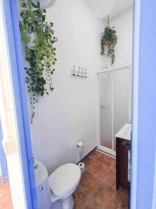 “Flor De Sal” Charming Traditional Andalusian House Aiamonte Exterior foto